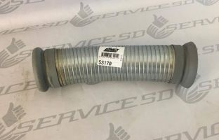 17352671 10208929851709744 1721012033 n